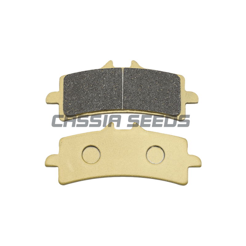 MOTORCYCLE FRONT AND REAR BRAK - Carbon Ceramic Motorcycle Brake Rotor recension och pris